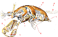 [Avatar]