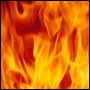 [Avatar]