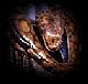 [Avatar]