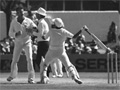 [Avatar]