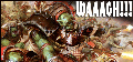 [Avatar]