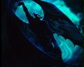 [Avatar]
