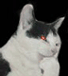 [Avatar]