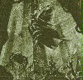 [Avatar]
