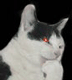 [Avatar]