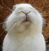 [Avatar]