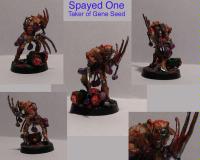 Spayed One by Terry-Wrist