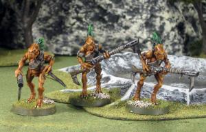 A close-up shot of some Kroot