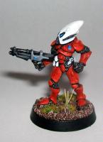 Eldar Guardian by Axiom