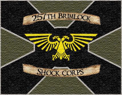 [Thumb - 257th Brimlock Shock Corps Standard.jpg]