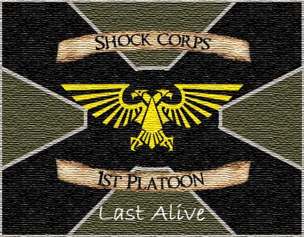 [Thumb - 257th Brimlock Shock Corps 1st Platoon Standard.jpg]