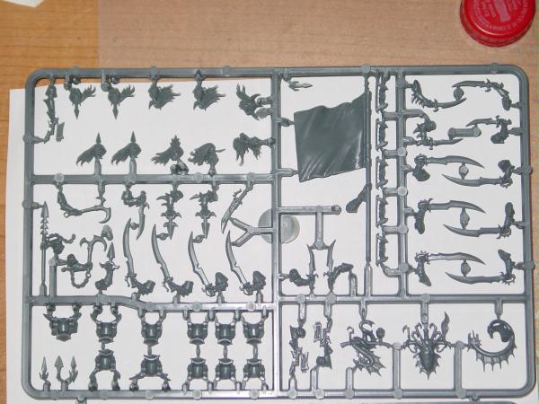 Dark Elf Sprues - Articles - DakkaDakka | Roll the dice see if I'm getting drunk.