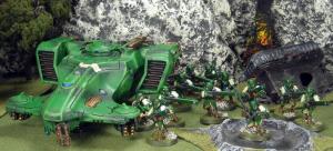 Grey army Firewarriors