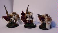 Group of Paladins