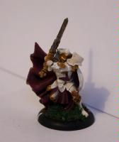 High Paladin Dartan Vilmon