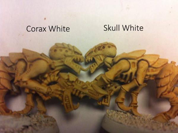 [Thumb - corax vs skull.jpg]