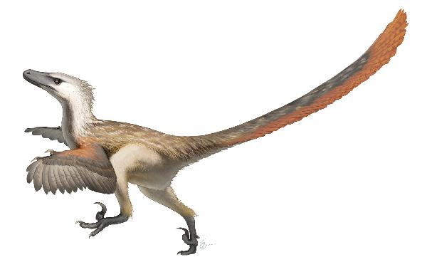 [Thumb - Velociraptor_Restoration.png]
