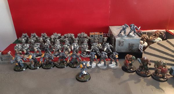 [Thumb - 20240113 Space Wolves Army pic 01.jpg]